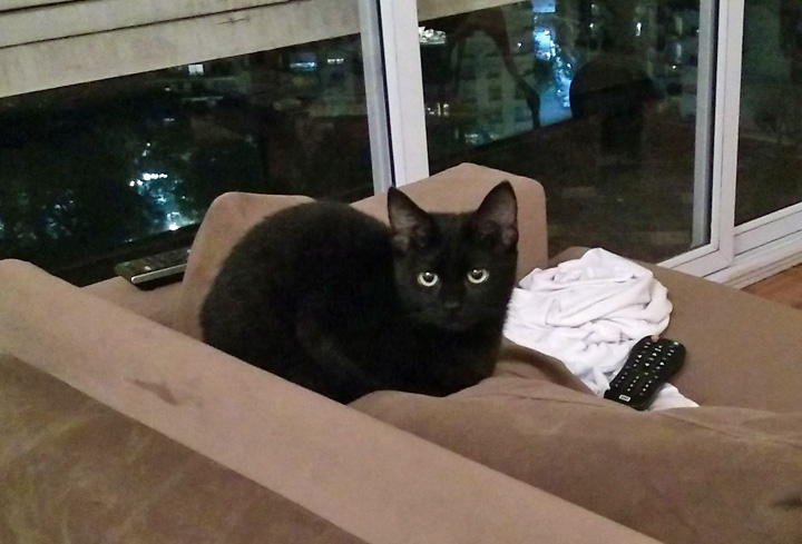 Lola-May-11-2018 (001)