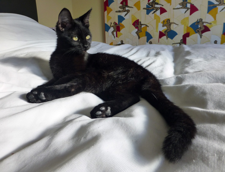 Lola-Rock-May-21-2018 (16)