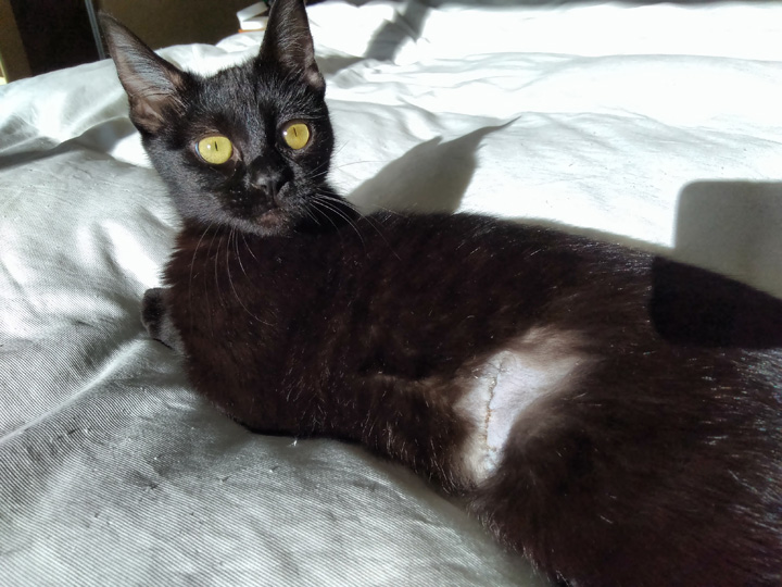 Lola June 3 2018 (8)