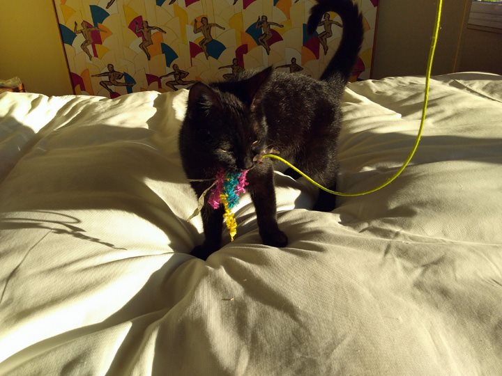 Lola May 11 2018 - 002