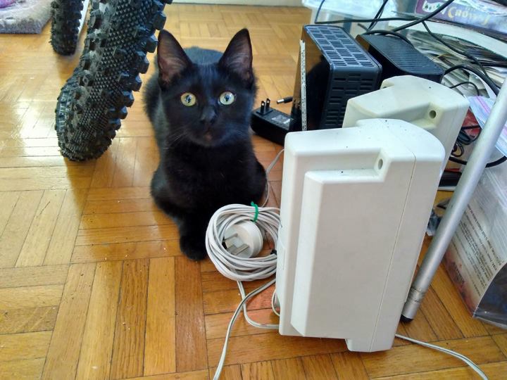 Lola May 11 2018 - 005