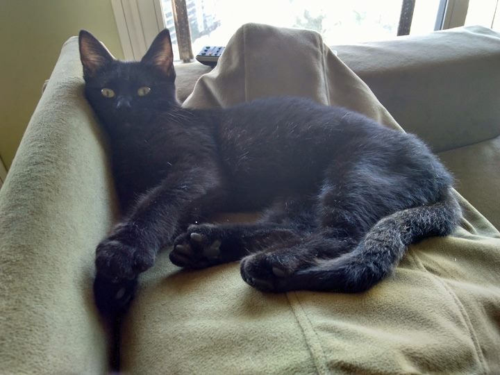 Lola May 11 2018 - 007