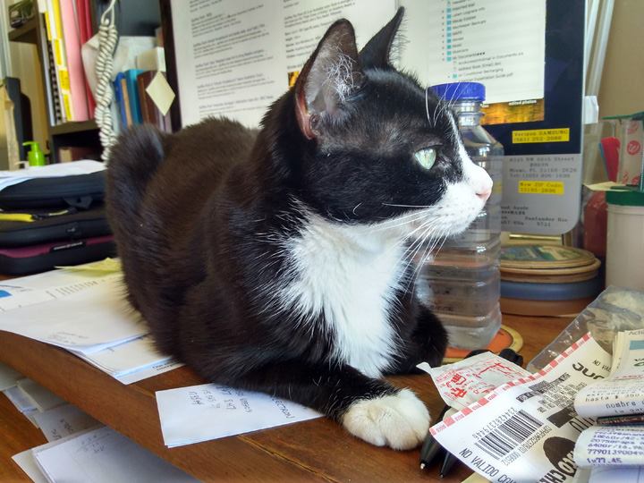 Lola May 11 2018 - 008