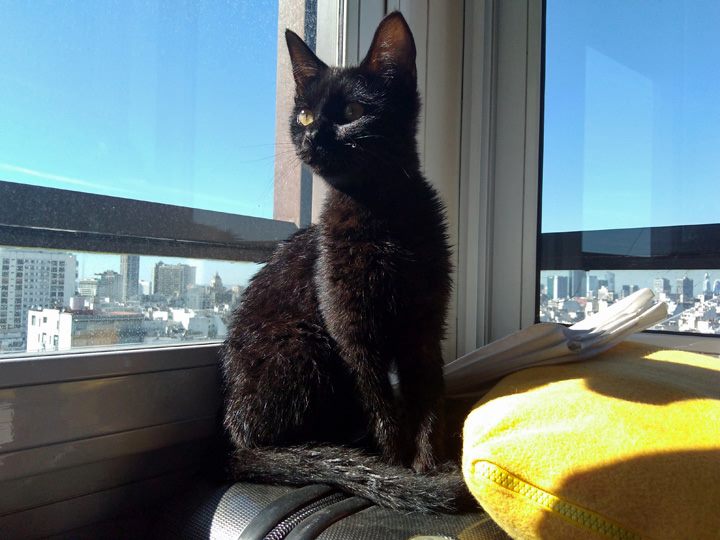 Lola May 11 2018 - 009