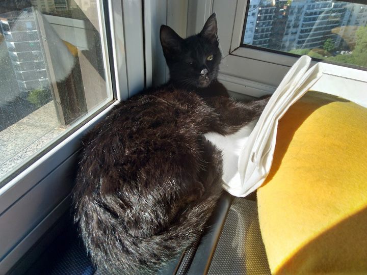 Lola May 11 2018 - 010