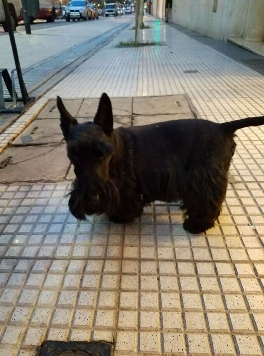 JonWeaver-Jun-2018- (20)