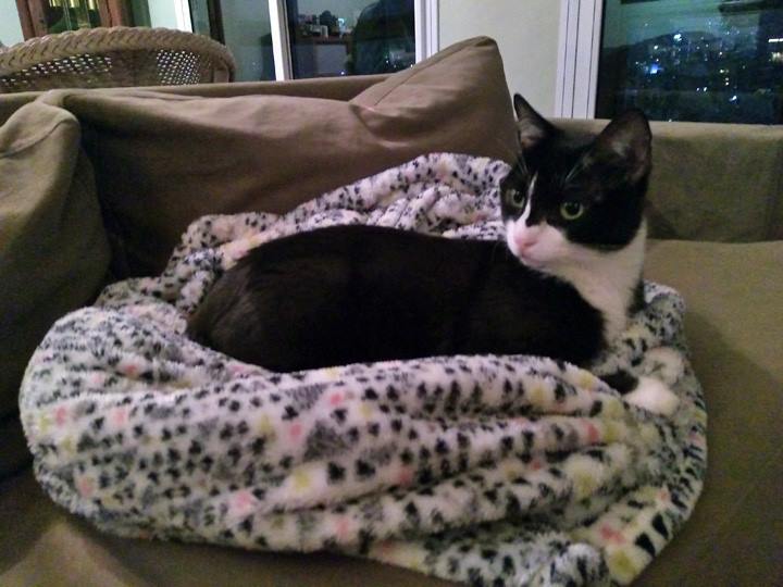 FreezingRon-July-2018-4