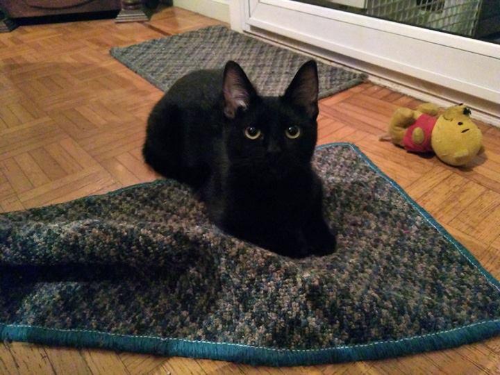 FreezingRon-July-2018-7