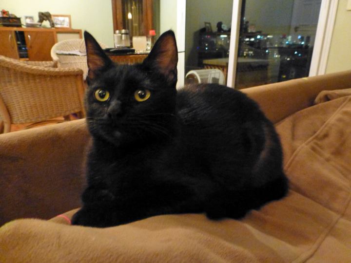 Ron81stBday-July-2018-1