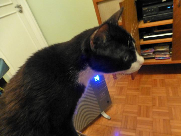 Ron81stBday-July-2018-17