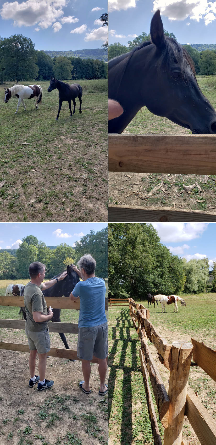 France-Aug-2018-chptr01-05