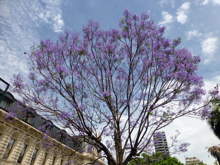 Pete-Ron-8thAnniversary-Nov-12-2018 (43)