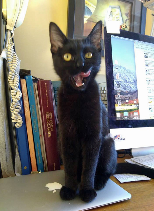 LolasFirstXmas-Dec-2018-10