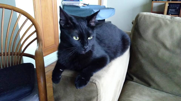 LolasFirstXmas-Dec-2018-5