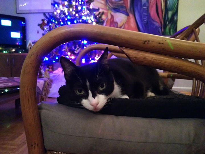 LolasFirstXmas-Dec-2018-8