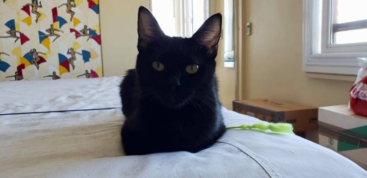 Pete-BDay-Feb-2019-44