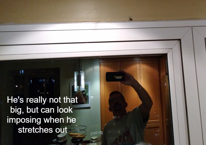 Fred - 2019-05-26 - 2