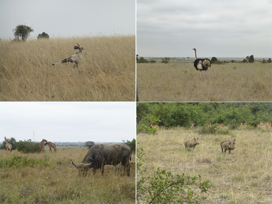 Kenya-Sept-2019-chptr01-07