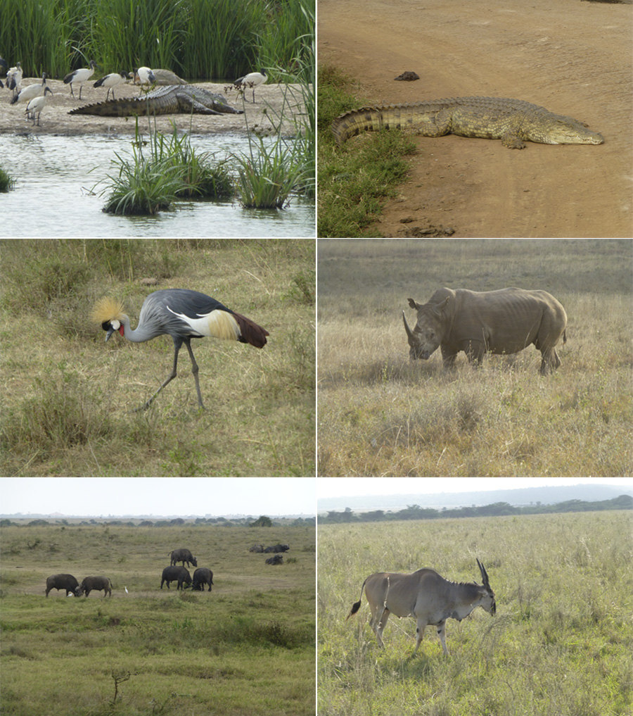 Kenya-Sept-2019-chptr01-08