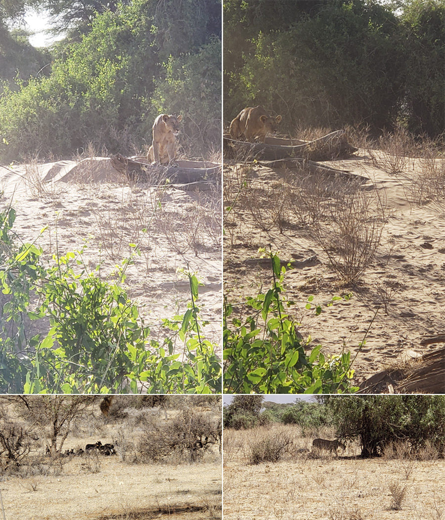 Kenya-Sept-2019-chptr01-18