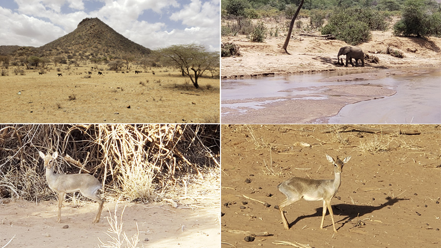 Kenya-Sept-2019-chptr01-20