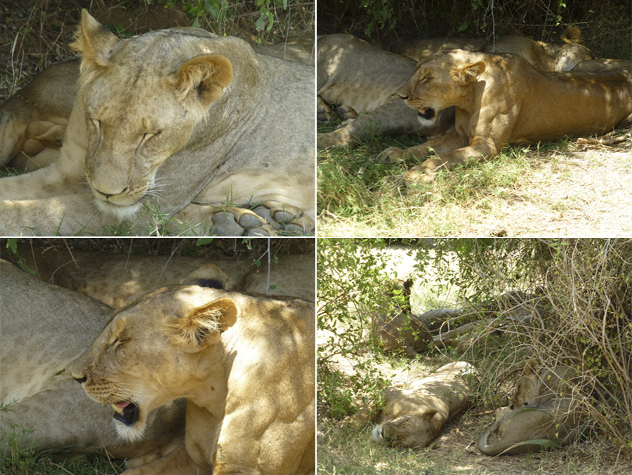 Kenya-Sept-2019-chptr01-24