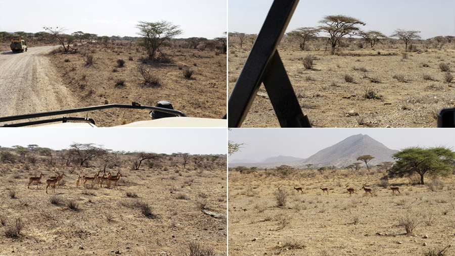 Kenya-Sept-2019-chptr01-32