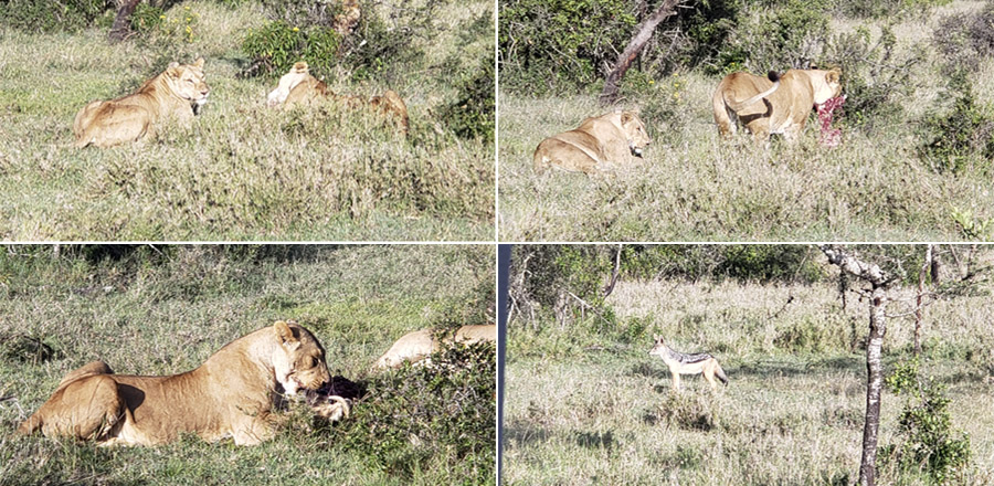 Kenya-Sept-2019-chptr01-35