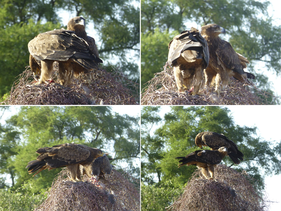 Kenya-Sept-2019-chptr02-01