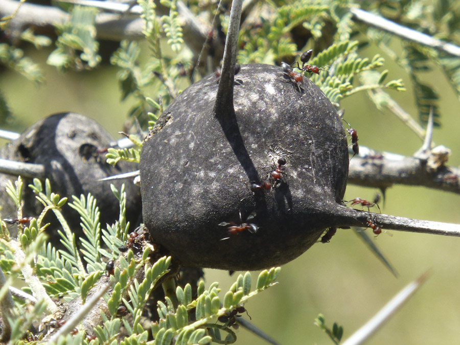 Kenya-Sept-2019-chptr02-03