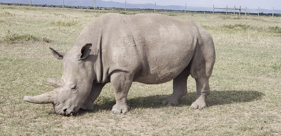 Kenya-Sept-2019-chptr02-06