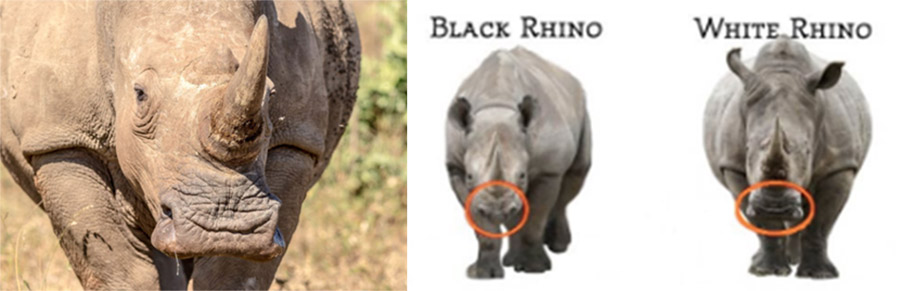 Kenya-Sept-2019-chptr02-07