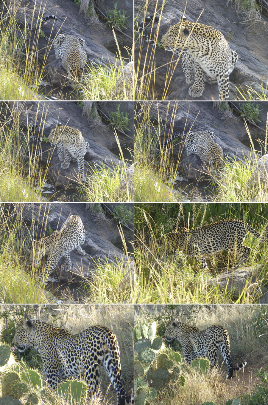 Kenya-Sept-2019-chptr02-22