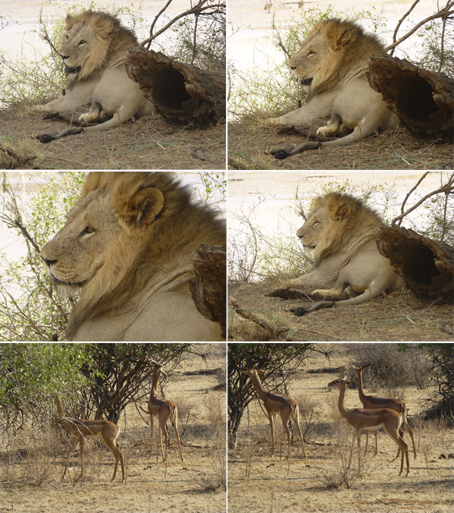 Kenya-Sept-2019-chptr02-38