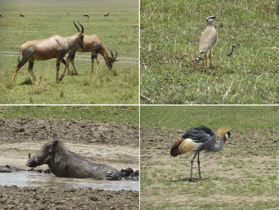 Kenya-Sept-2019-chptr02-39