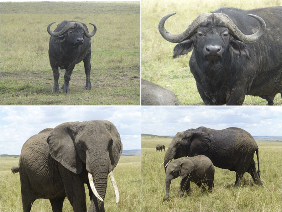 Kenya-Sept-2019-chptr02-40