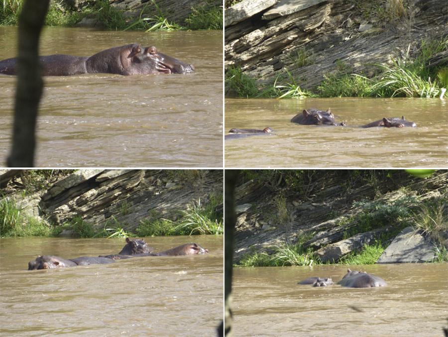 Kenya-Sept-2019-chptr02-42