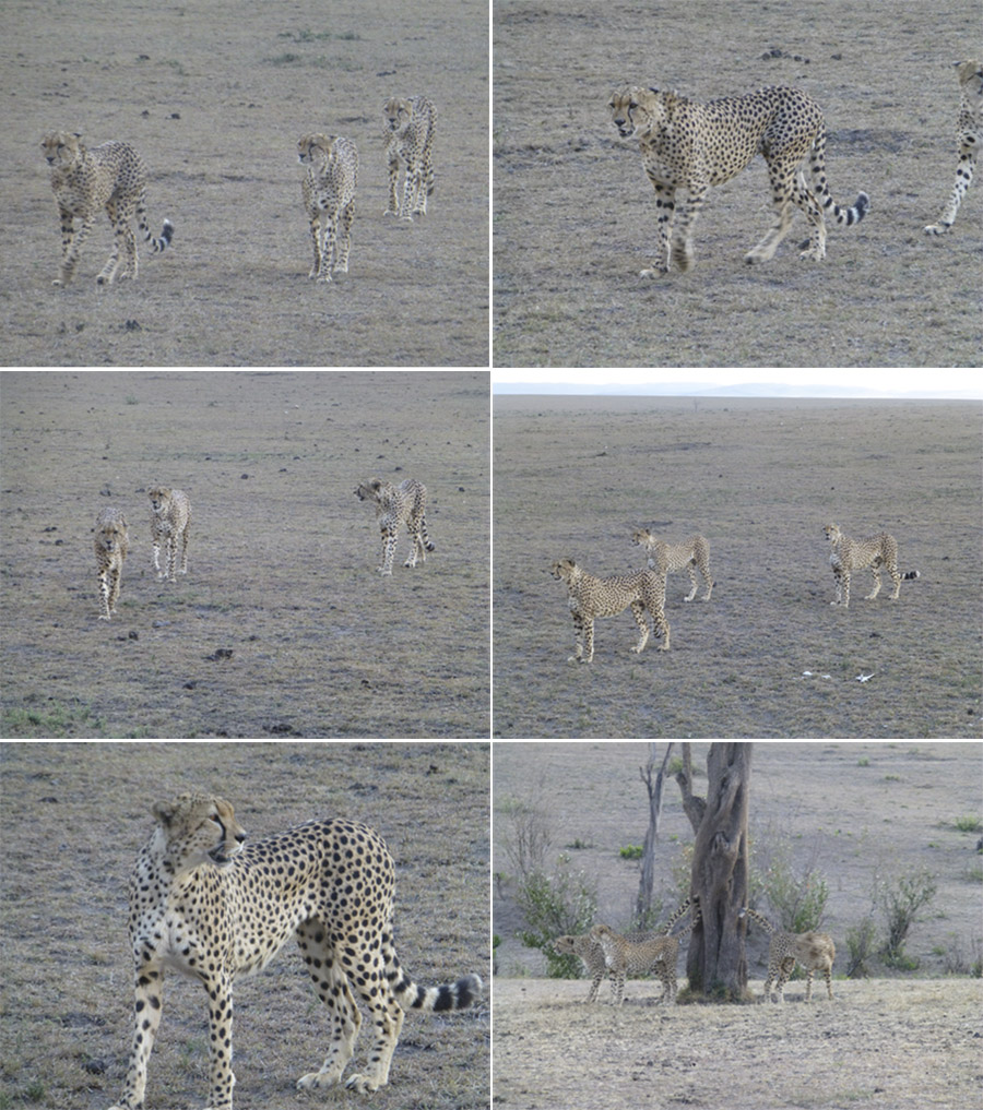 Kenya-Sept-2019-chptr02-43