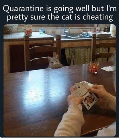 Waiting for the coffee to brew