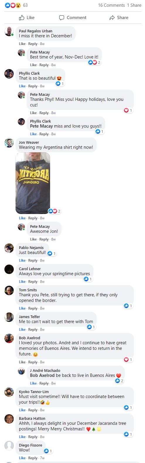 SpringTimeInBsAs-12-2020-comments