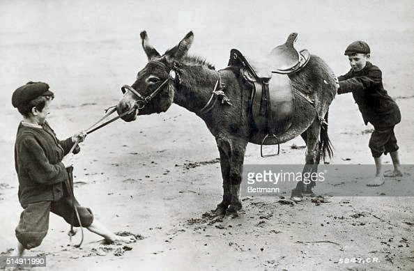 Ron-FirstCOVIDShort-Mar-11-2021-003