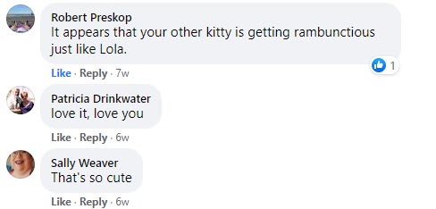 Sushi and Cake Jul 13 2021-002-comments 2