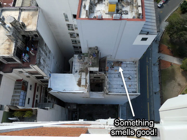 RoofWorkersLunch-Aug-2021 (1)