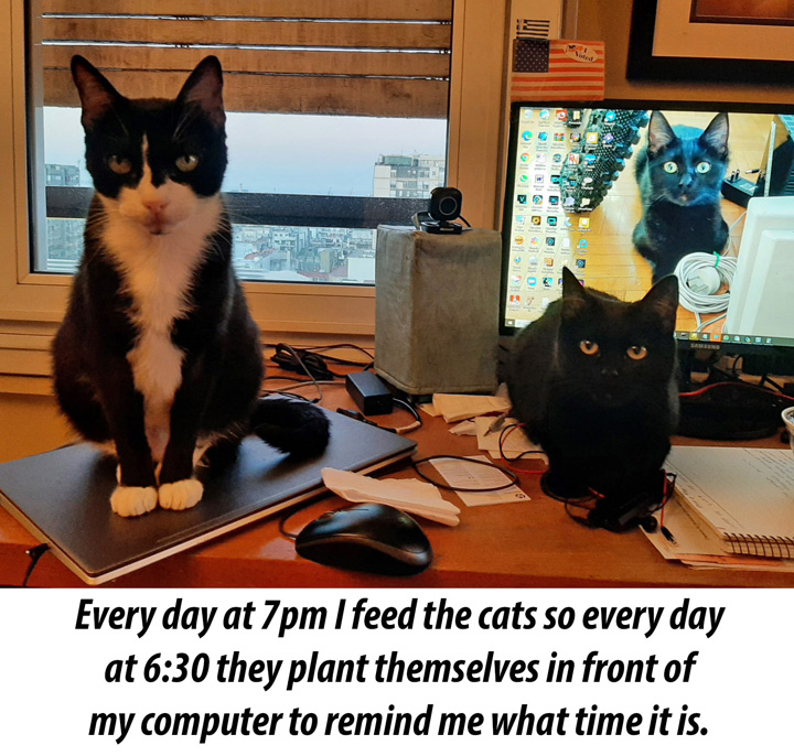 2021-09-19-005-PorkRibs