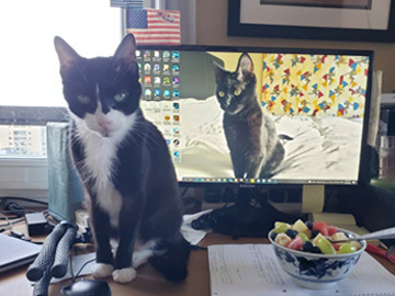 2022-09-21-CatRoutine-002-marker