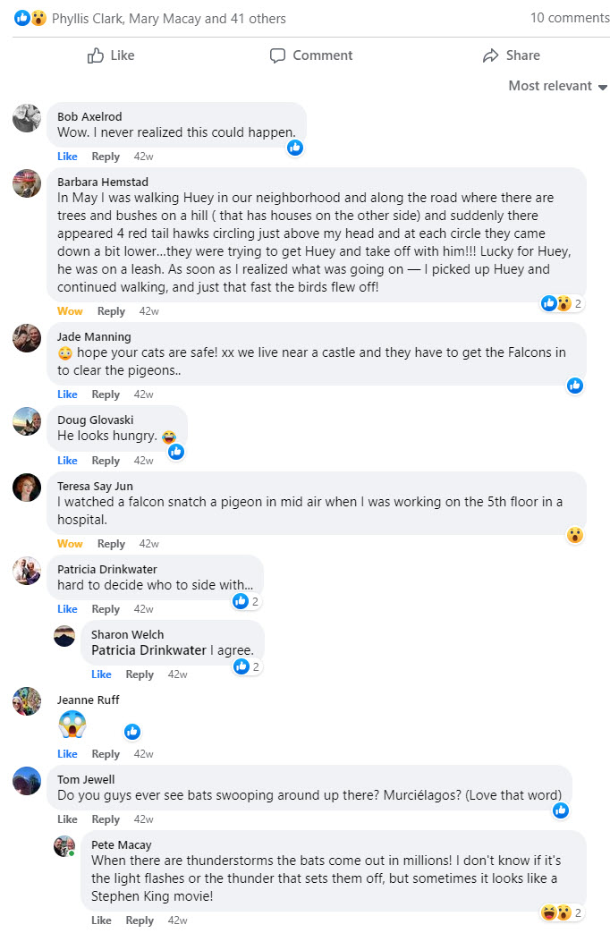 2022-07-07 Huge Falcon comments