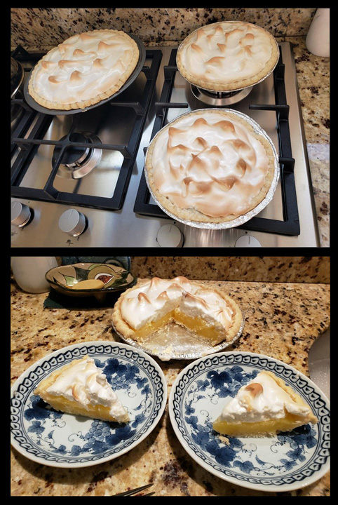 2022-07-31-RonsLemonPies-010