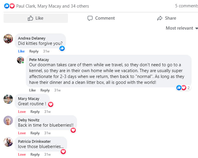 2022-09-21-CatRoutine-comments