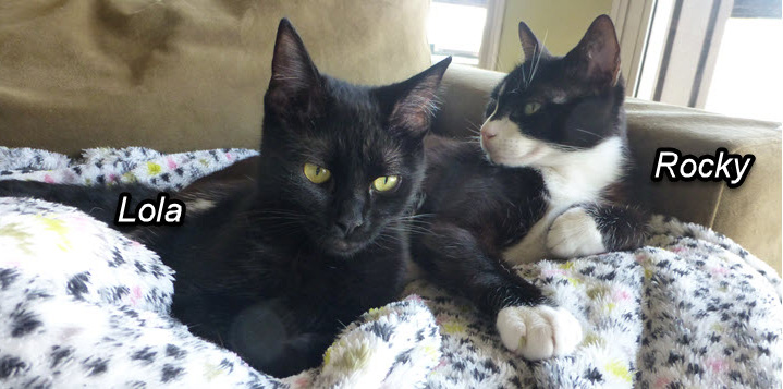 2022-10-06-UpdatedMyFBHeader