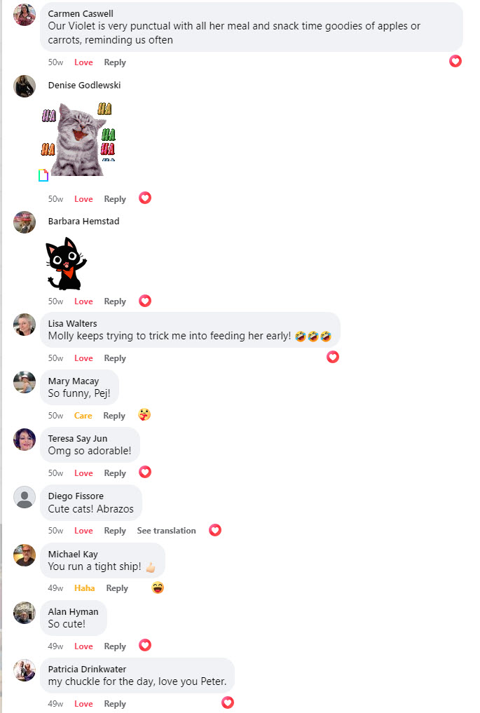 2023-08-25-rustling cat pouches-04